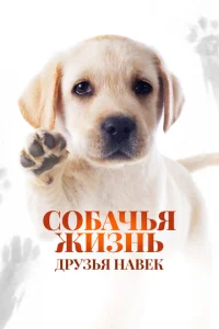 Собачья жизнь: Друзья навек 